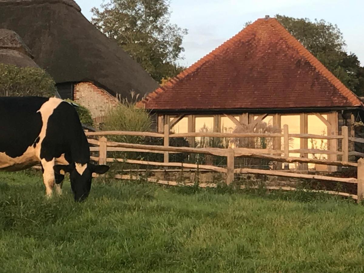 Bed and Breakfast The Cow Hide Arundel Exterior foto
